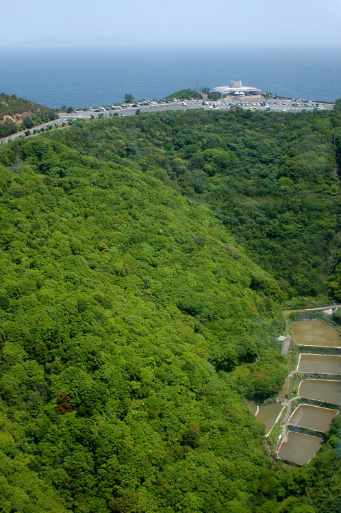 e0169286_19342887.jpg