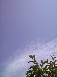 e0100589_1422395.jpg