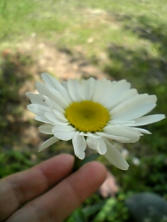e0100589_1442921.jpg