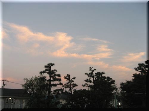 e0143690_1702178.jpg