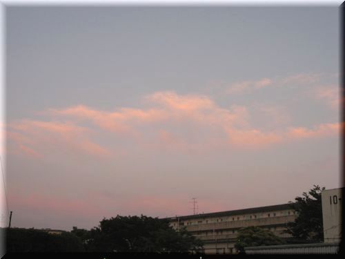e0143690_171049.jpg