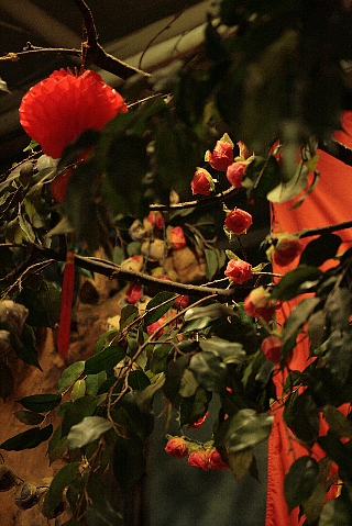 d0133693_2151559.jpg