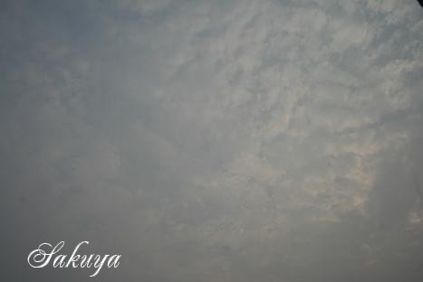 e0122194_1915244.jpg