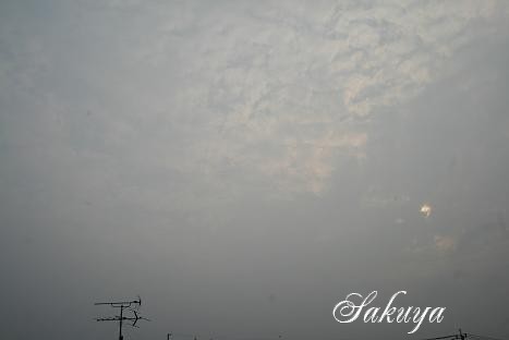 e0122194_192945.jpg