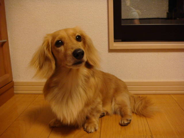 d0098295_23302886.jpg