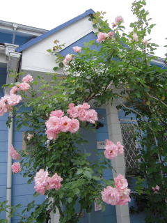 d0110904_6473181.jpg