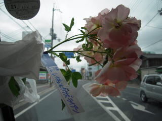 d0110904_6545199.jpg