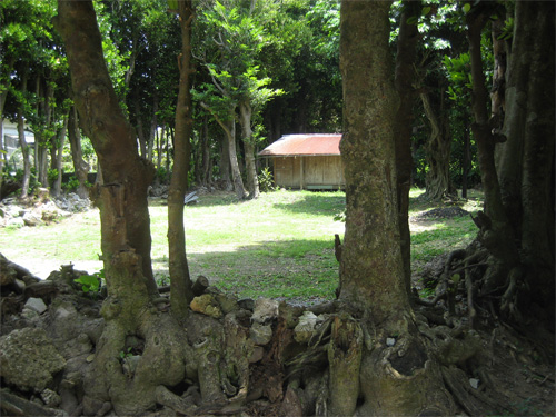 c0114110_1841730.jpg