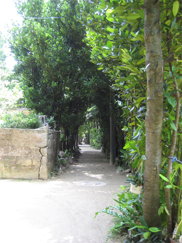 c0114110_184326.jpg