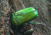 f0036716_189560.jpg