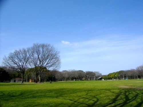 e0119017_3274998.jpg