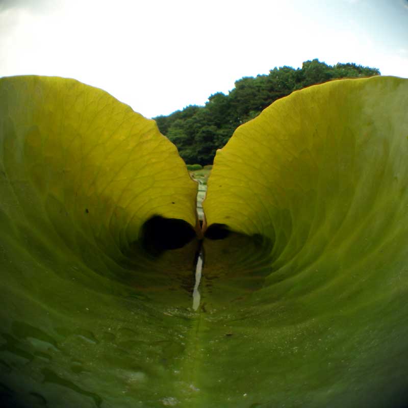 c0145418_19373770.jpg