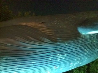 c0156021_1410501.jpg