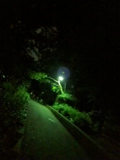 c0156021_14105090.jpg