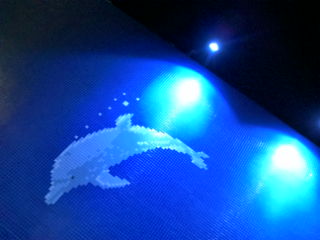 c0156021_2343917.jpg