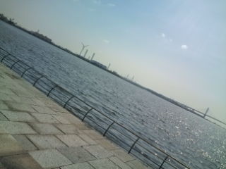 c0156021_2343928.jpg