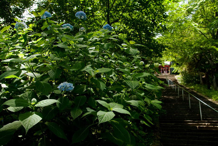 b0147624_822127.jpg
