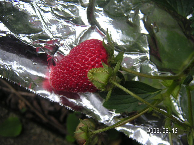 a0020929_1045170.jpg