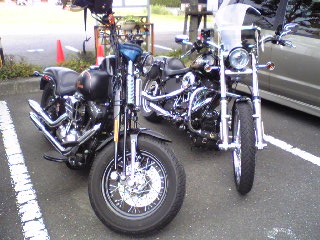 a0099129_22491452.jpg
