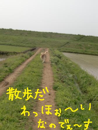 f0176830_1736481.jpg