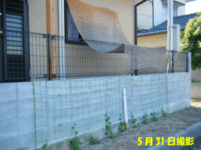 f0008935_2434061.gif