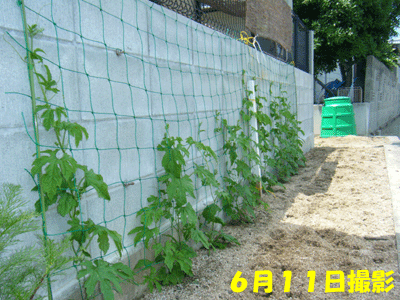 f0008935_244669.gif