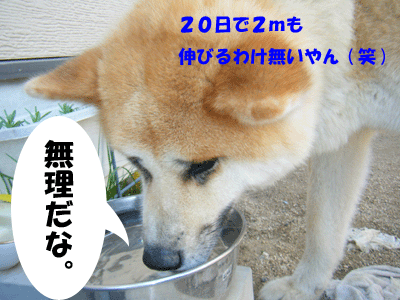 f0008935_2512692.gif
