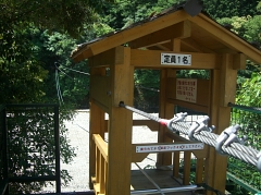 b0029438_1111015.jpg