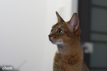 c0132438_20475521.jpg