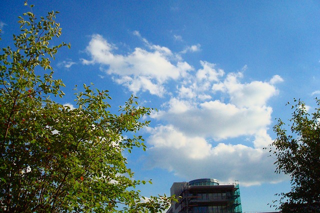 c0153740_66011.jpg