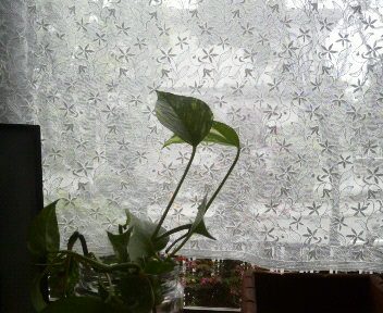 b0129041_8204211.jpg