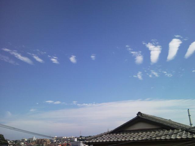 e0150843_0583516.jpg