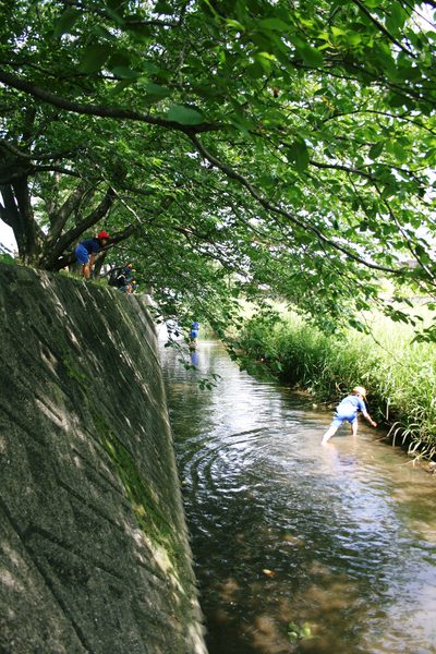 f0173744_1363643.jpg