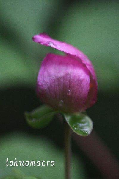 f0173245_6342199.jpg
