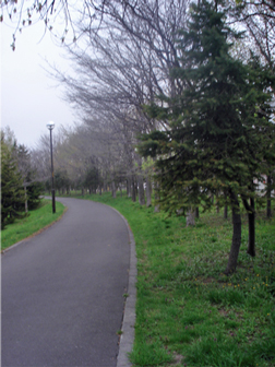 c0086746_1412337.jpg