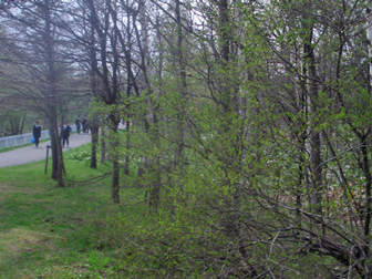 c0086746_142550.jpg