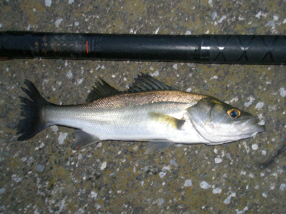 f0150151_21143678.jpg