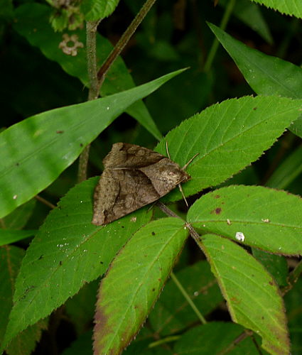 d0091754_3285430.jpg