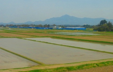 c0119160_1556521.jpg