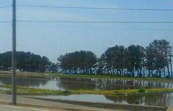 c0119160_1682774.jpg