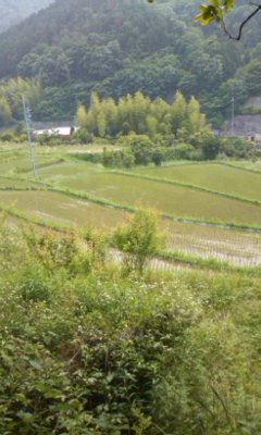 f0061067_15706.jpg