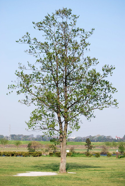 b0174068_1282827.jpg