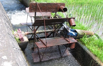 e0041168_1445335.jpg