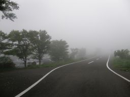 c0042869_18523513.jpg