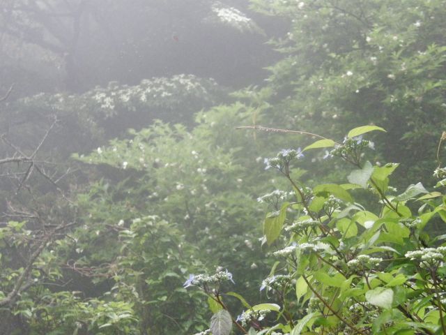 c0042869_19141525.jpg