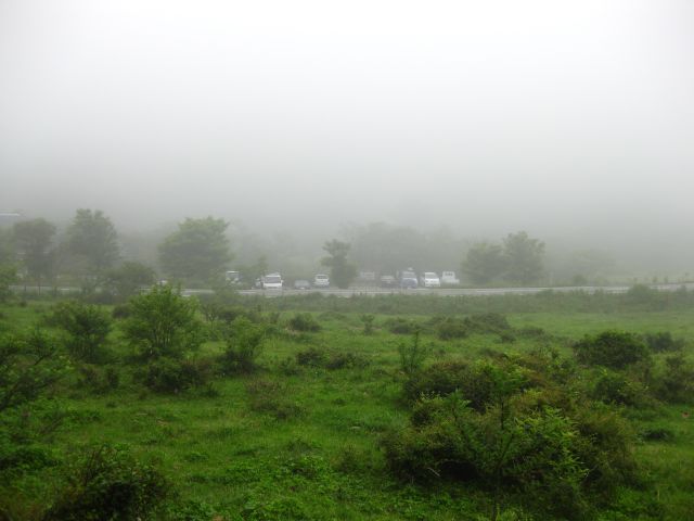 c0042869_1922973.jpg