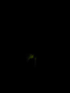 f0107072_23315271.jpg
