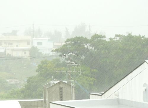 c0139375_1440239.jpg