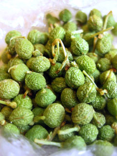 f0056476_73695.jpg