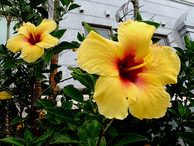 a0007388_1534622.jpg